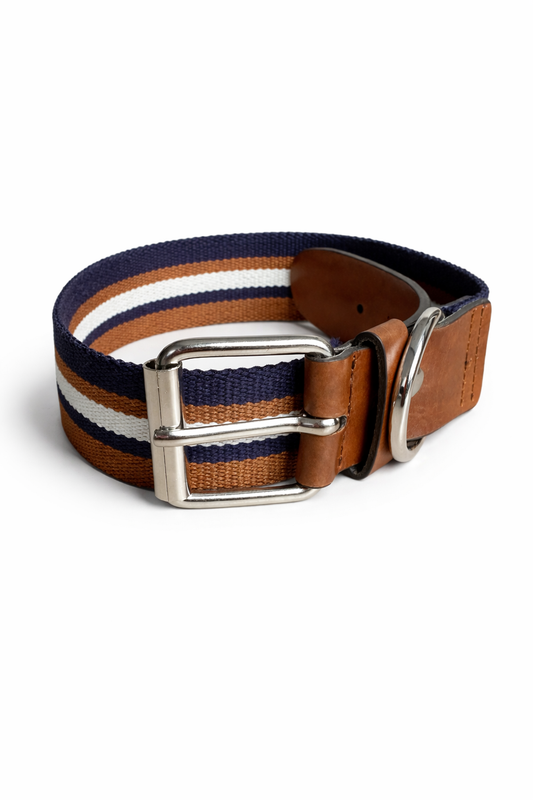 Striped vegan dog collar featuring durable acrylic and refined vegan leather details.